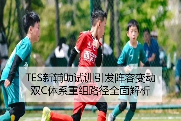 TES新辅助试训引发阵容变动 双C体系重组路径全面解析